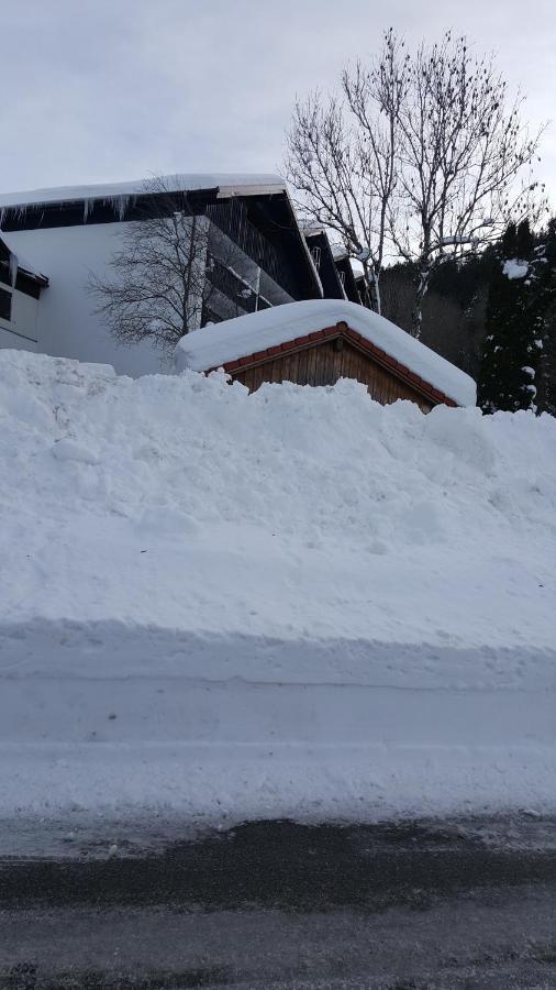 Fewo Friado Im Ferienpark Oa - Ohne Zusatzkosten Nach Anreise - Mit Hallenbad, W-Lan, Pkw-Garage, Kurtaxe Mit Allgaeu-Walser-Pass, Bett- Und Handtuch-Waesche Sowie End-Reinigung Missen-Wilhams Exterior foto