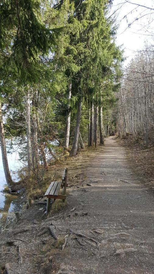 Fewo Friado Im Ferienpark Oa - Ohne Zusatzkosten Nach Anreise - Mit Hallenbad, W-Lan, Pkw-Garage, Kurtaxe Mit Allgaeu-Walser-Pass, Bett- Und Handtuch-Waesche Sowie End-Reinigung Missen-Wilhams Exterior foto